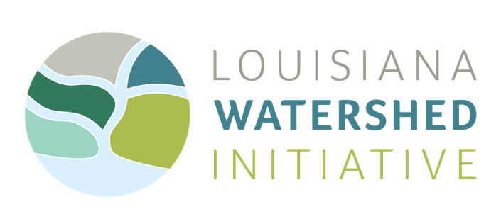 Louisiana Watershed Initiative (LWI) PUBLIC COMMENTS regarding Proposed Amendment 3